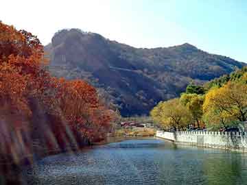 管家婆免费正版资起大全，注塑油温机